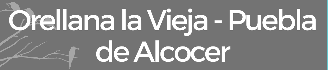 ruta 4