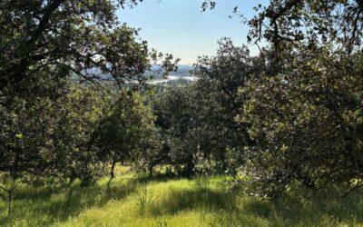 Reflexiones de un médico sobre el relax en el campo