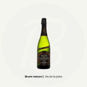 vÍa de la plata – cava via de la plata brut nature