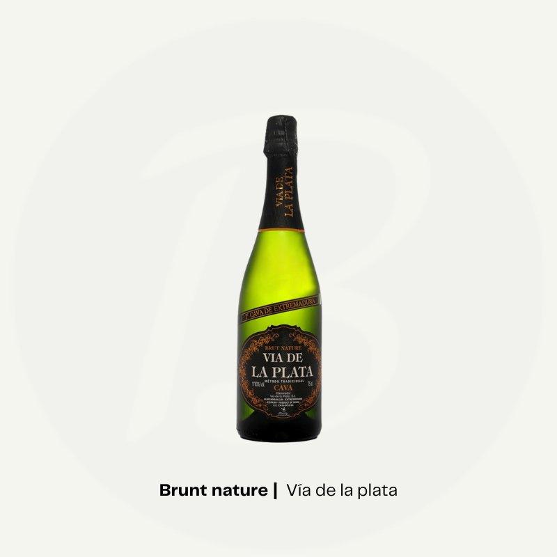 vÍa de la plata – cava via de la plata brut nature