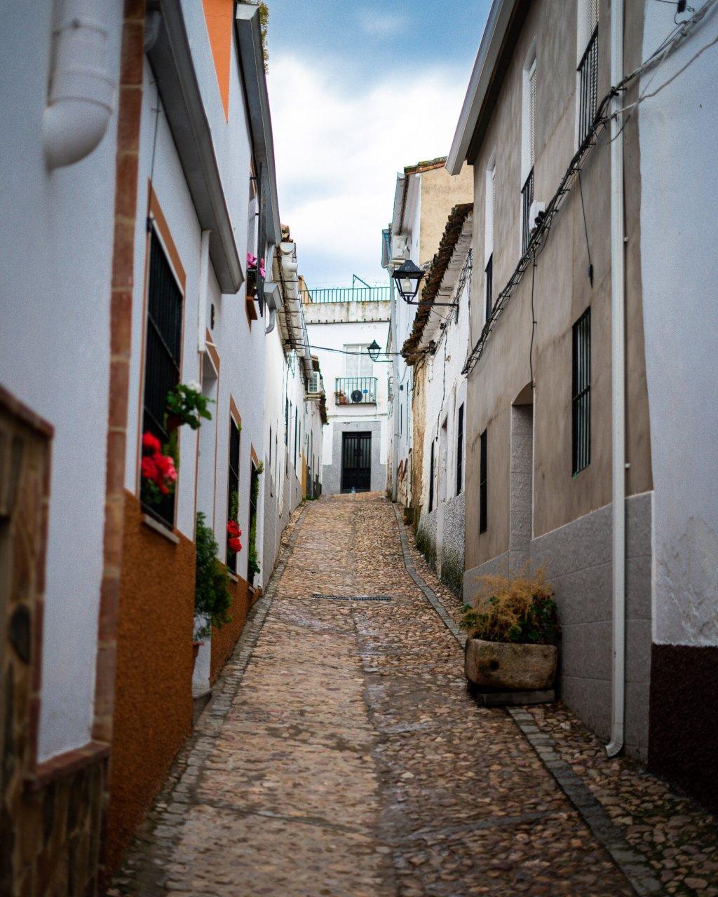 calle puebla alcocer