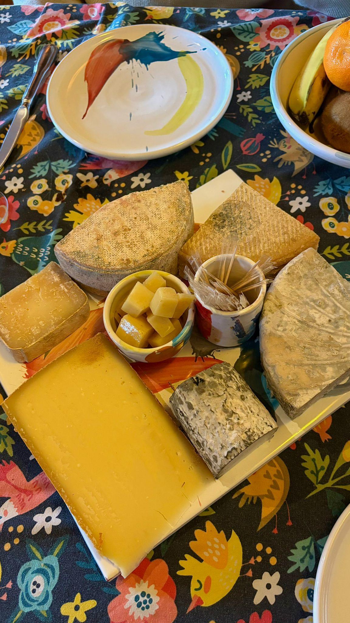 whatsapp image 2026 01 10 at 19.50.24