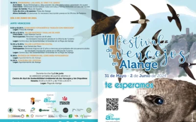 VII Festival de los Vencejos 2024 en Alange
